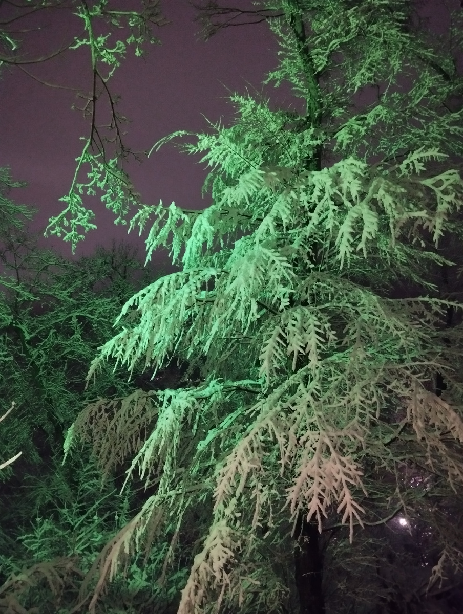 Такое сиреневое небо, смотрите!