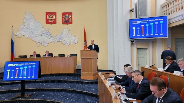    Денис Паслер представил депутатам Законодательного Собрания проект областного бюджета Кристина Просвиркина