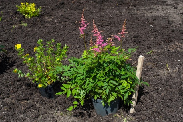   Фото из архива Калининград.Ru