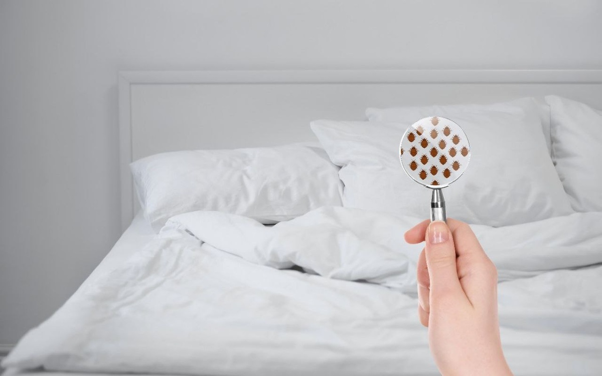 Уничтожение клопов метро Савёловская Москва