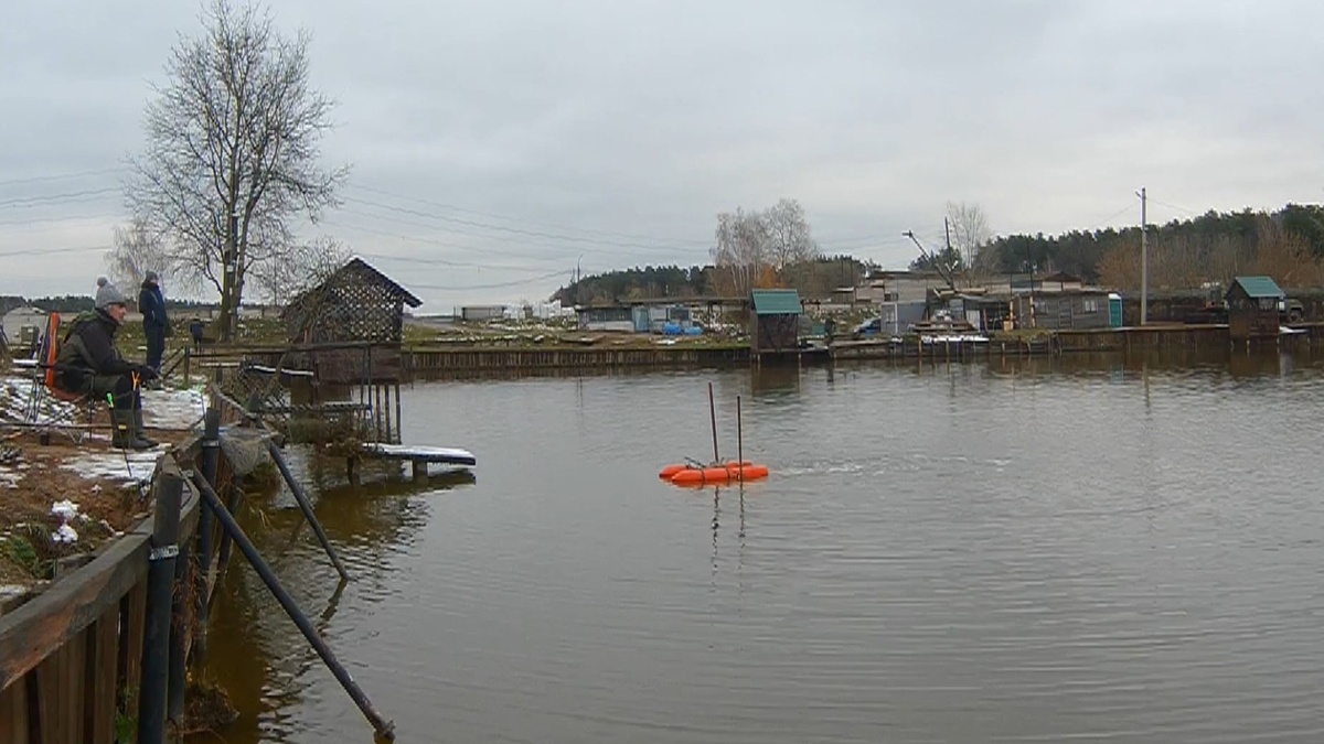 На донку ловить нельзя