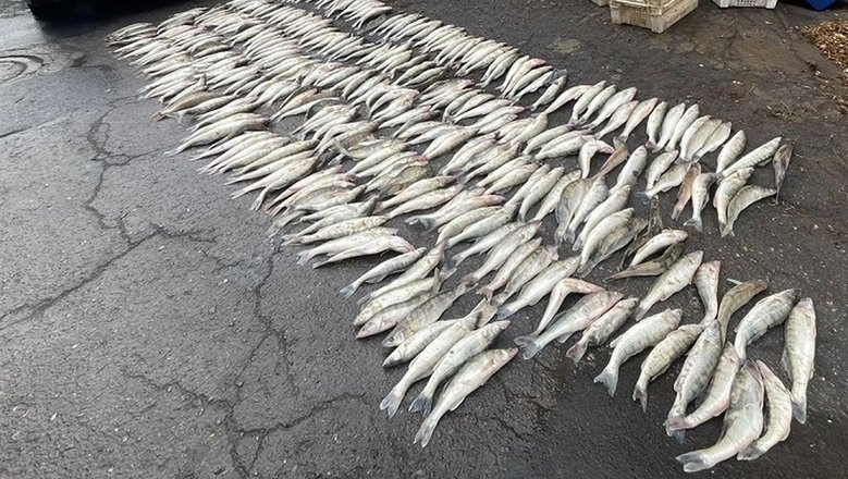 Про такие безобразия в законе всё хорошо прописано