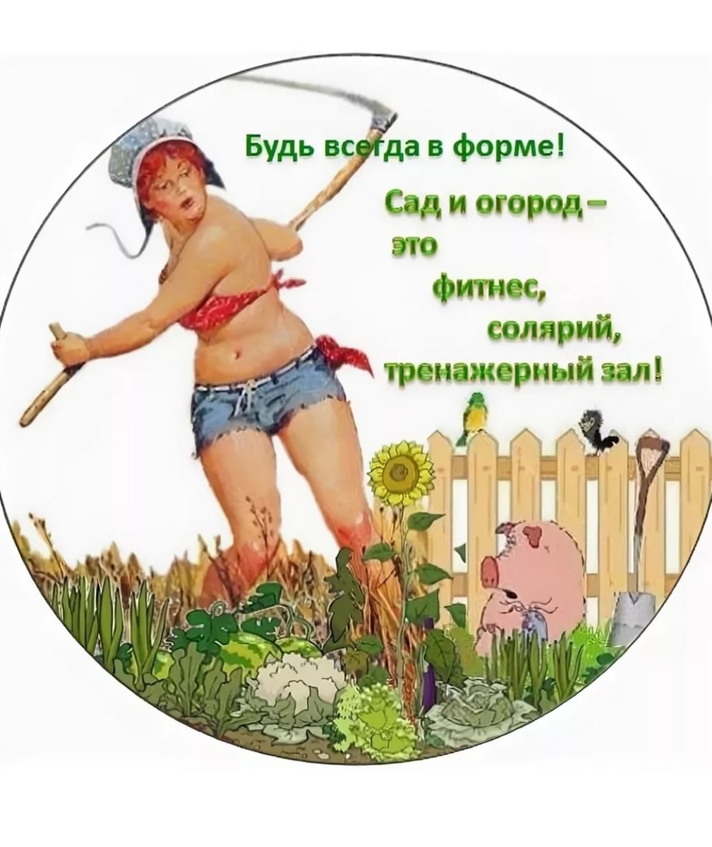 Открытки про огород смешные