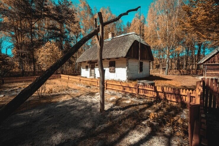 Фото из Янднкса