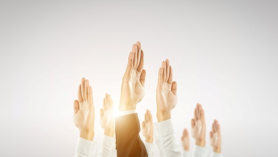    Автор фото: vostock-photo