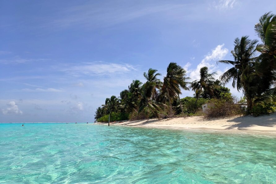    Фото: Maksim Konstantinov/Global Look Press