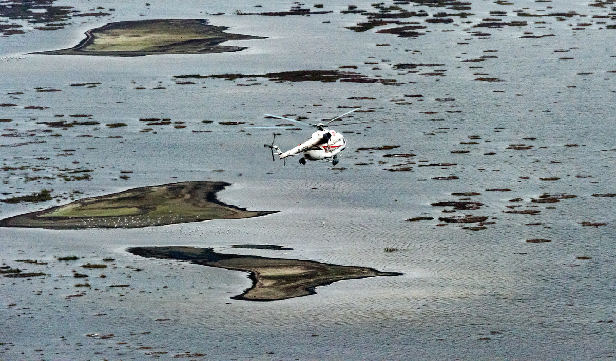 Serguei Fomine/Global Look Press
