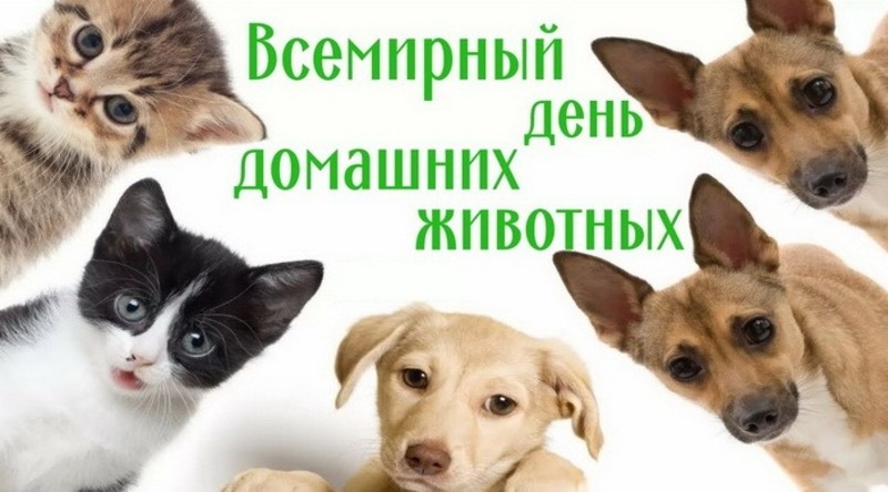Фото: bestkartinki.ru