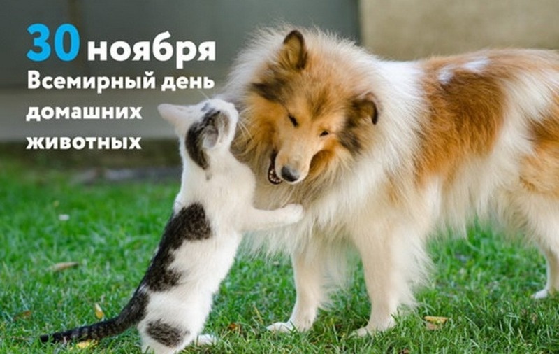Фото: bestkartinki.ru