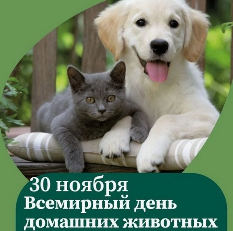 Фото: bestkartinki.ru