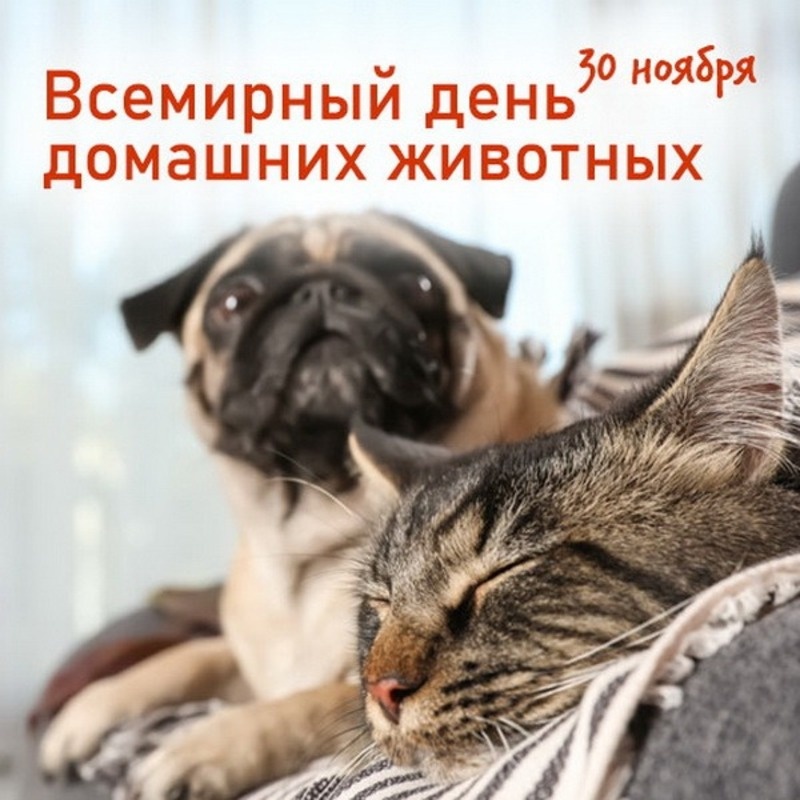 Фото: bestkartinki.ru