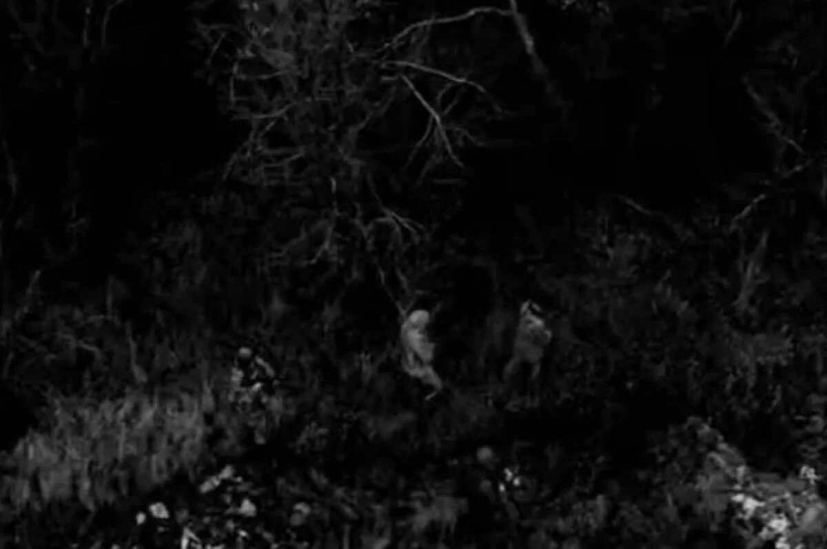    Под Харьковом украинский расчет БПЛА сдался в плен ВС РФ вместе с дроном