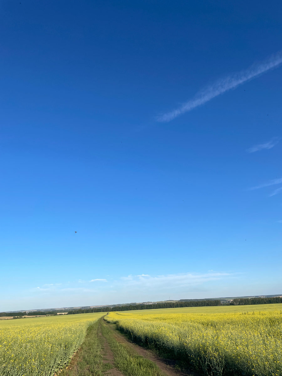 Мотать куда-нибудь вперед по Средней полосе на машине - лучший отдых оказался!
