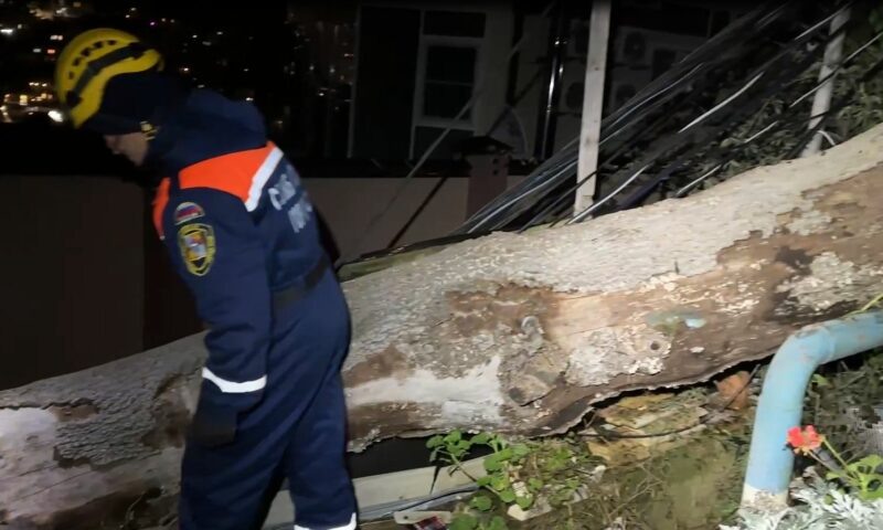    Фото t.me/spasenie_sochi