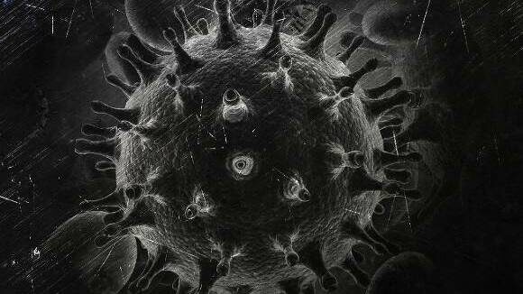     Источник: СС0 Public Domain