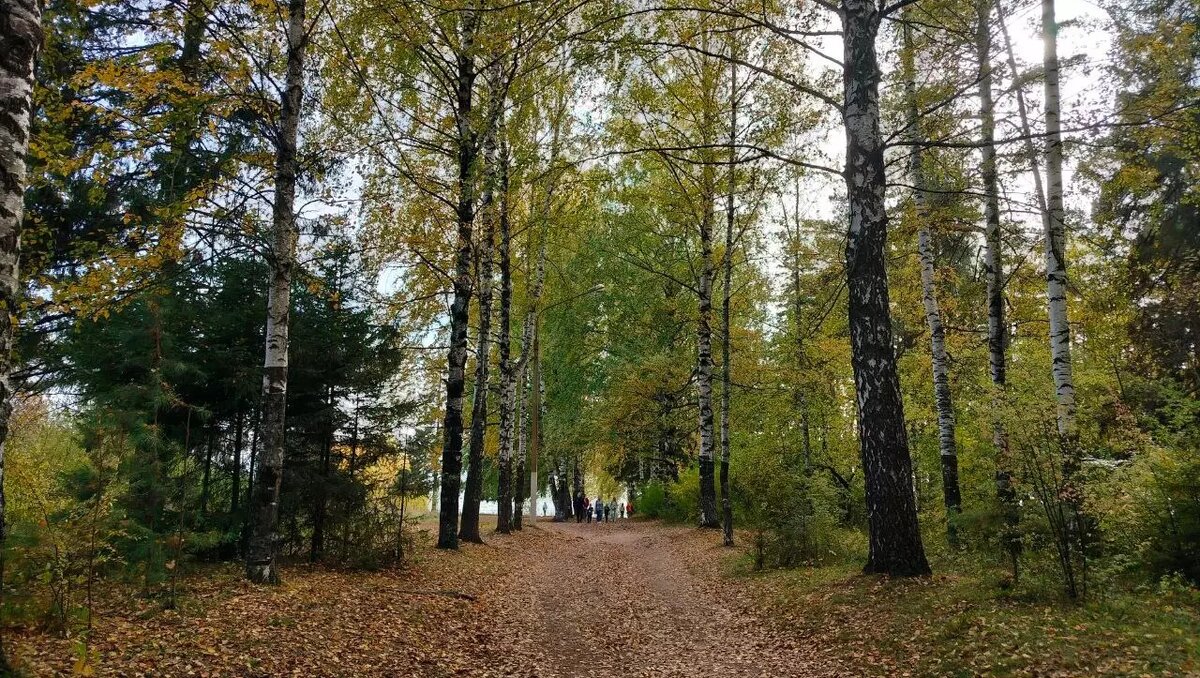     Автор: Мария Мезинская Источник: udm-info.ru