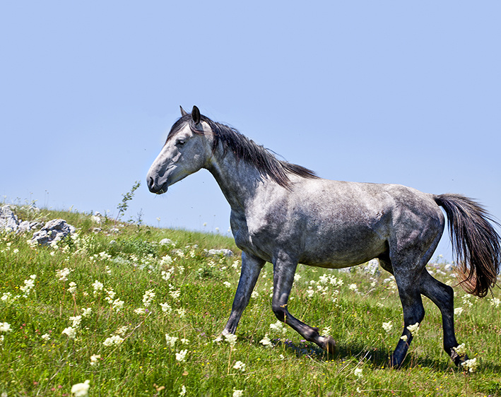 Фото: Владимир Коноваленко