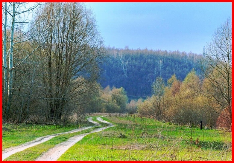 Весна в тот год припозднилась: трава брызнула зеленью, а деревья только начали распускать почки, и было довольно прохладно даже в конце апреля.