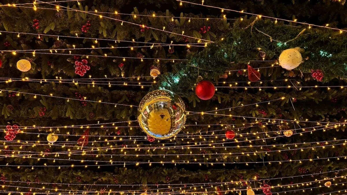 Фото: UfacityNews.ru