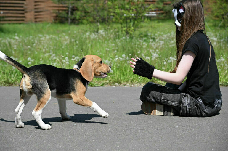   Максим Богодвид / РИА Новости