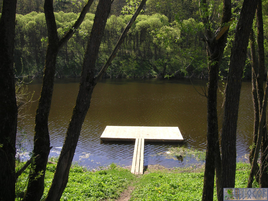 Пруд во Льва Толстого
