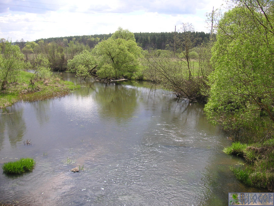 Река Медынка