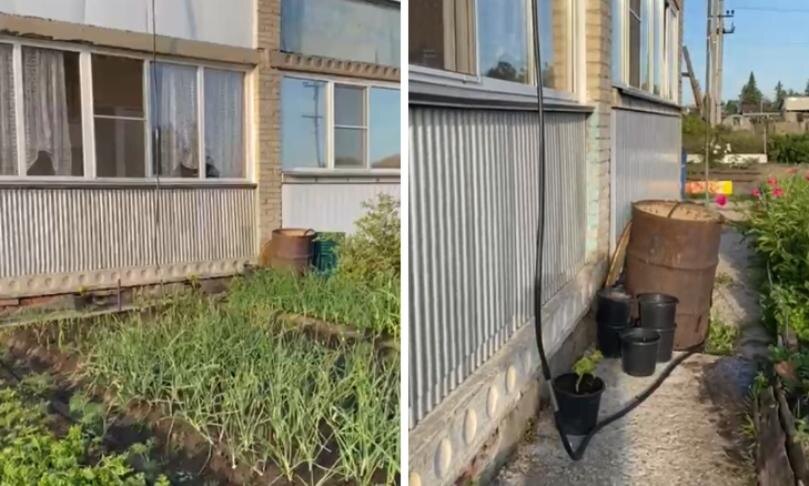    Фото предоставлено героями публикации. Коллаж - Горсайт