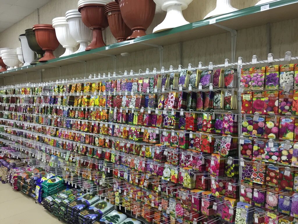 Фото сайта Яндекс