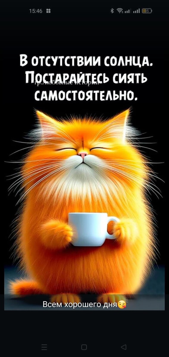 Фото из сети Интернет