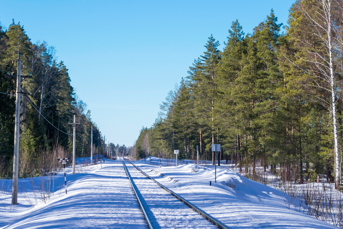 © Богдан Альбертович / Wikimedia Commons / CC BY-SA 4.0 (О.п. 92 км на перегоне Пемба – Куяр линии Зеленый Дол – Яранск, 2016 г.)