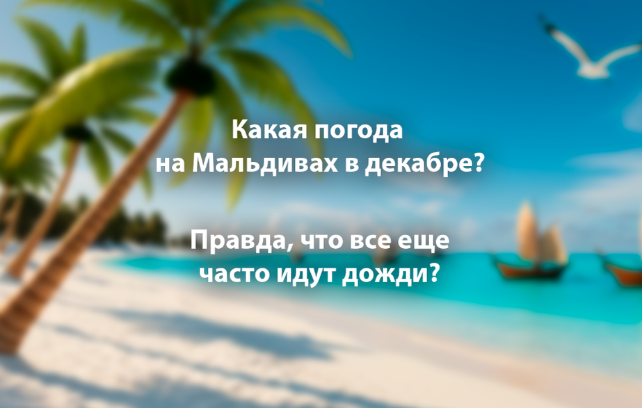 Про погоду на Мальдивских островах в декабре.