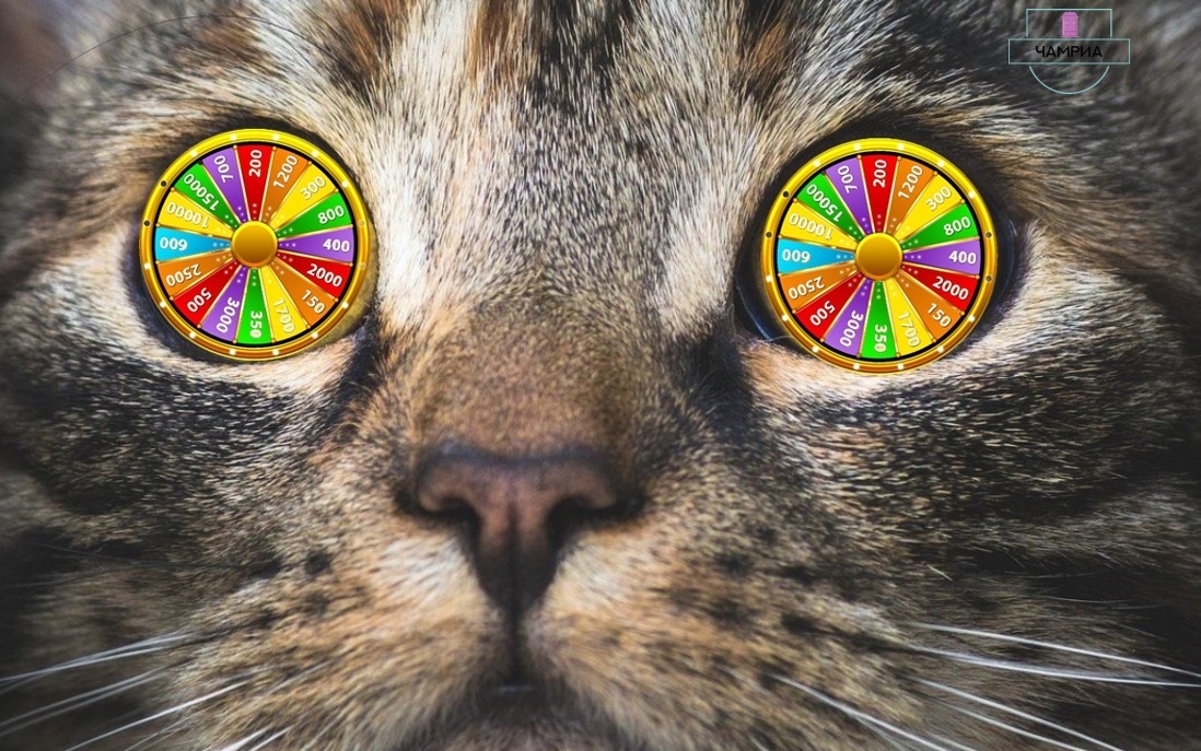 #english_idioms #идиомы_на_английском #wheel_of_fortune #колесо_фортуны