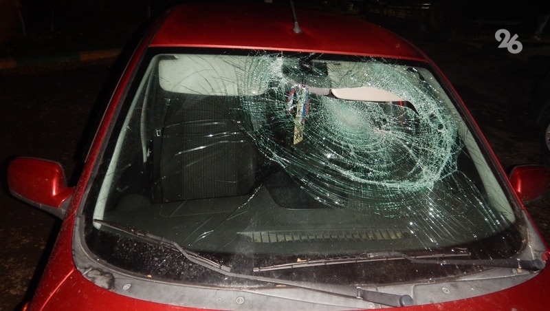      Фото: ГУ МВД по СК