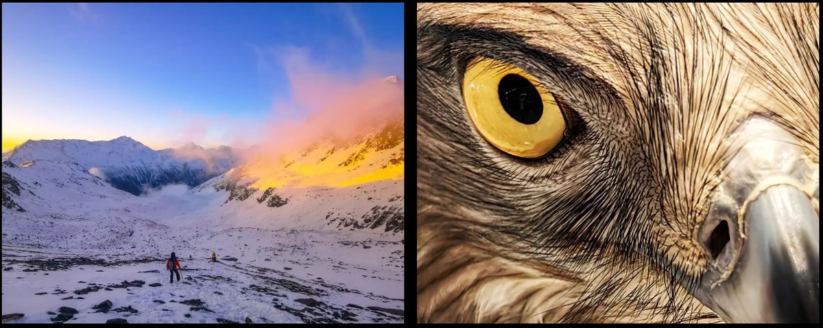 Xie Cheng и Ferdinand Bedana.