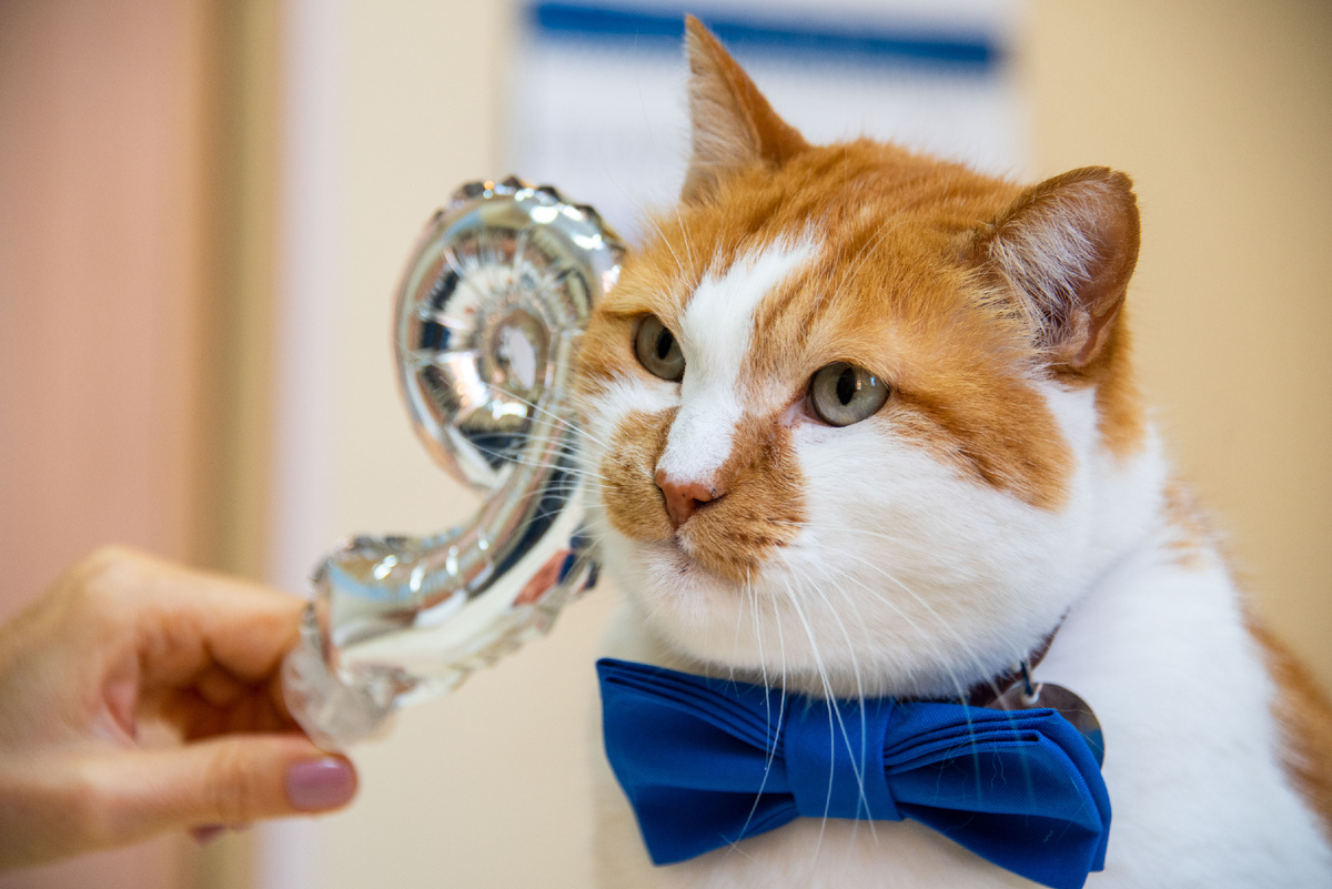 Девятка мне к лицу.