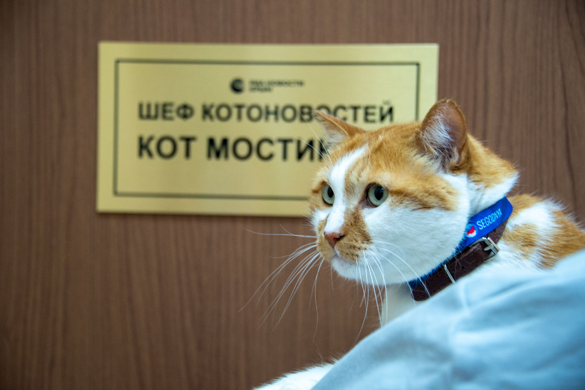 Серьезному начальнику - серьезные подарки!