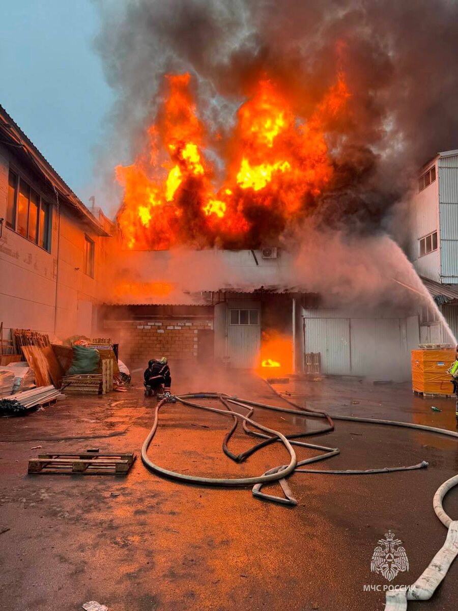 Фото: МЧС России 