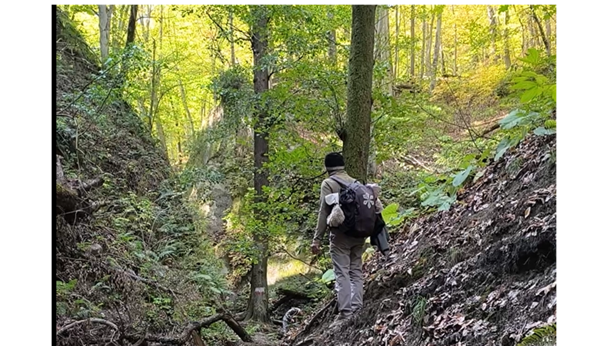 Решила поставить это фото главным. Почему? Если присмотреться то игра теней, проявила силуэт женщины с пышной короткой причёской, встречающей путника.