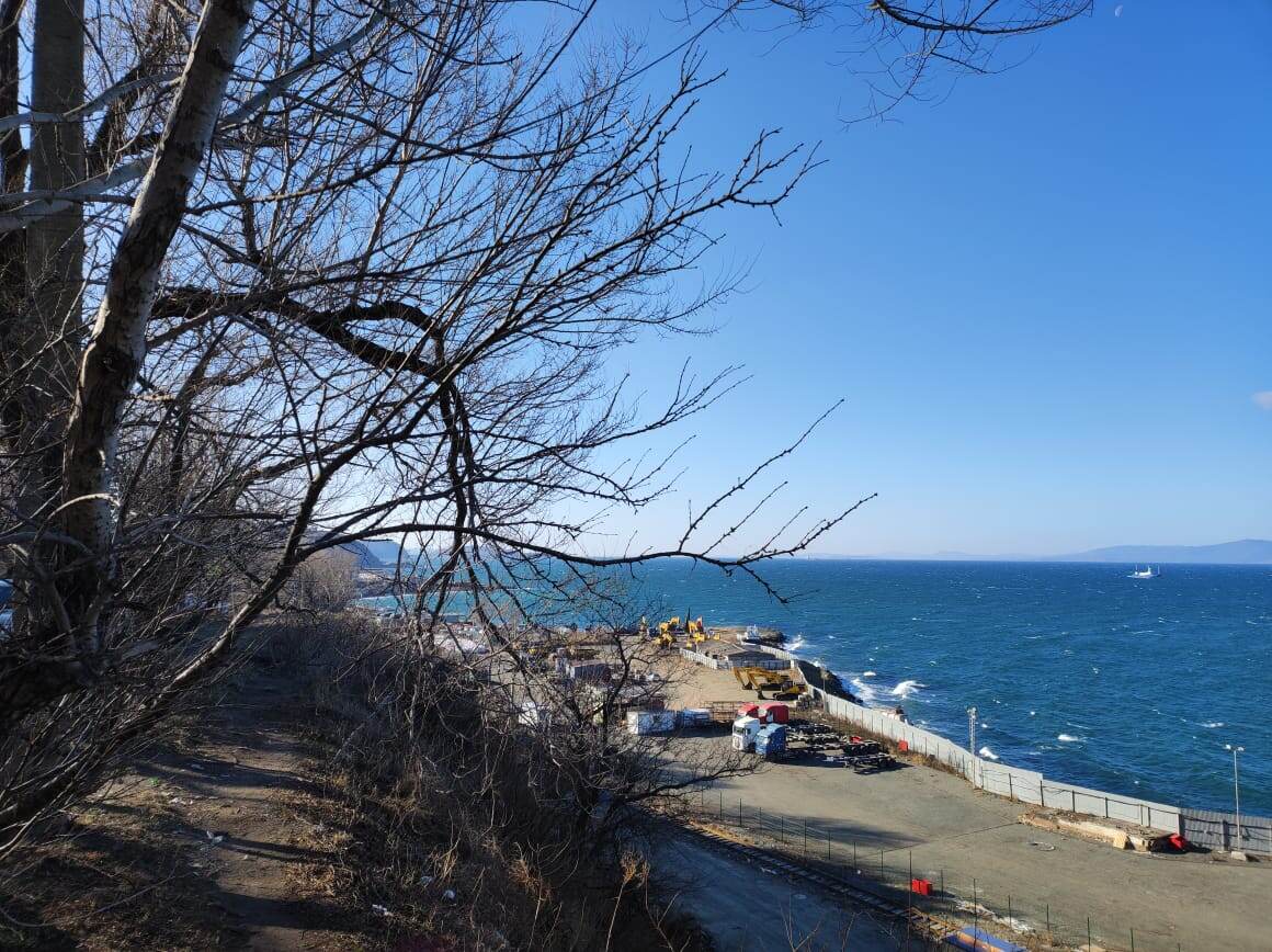 Дорога вдоль Амурского залива в конце ноября 2024 г.