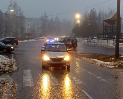    Фото: Госавтоинспекция Карелии / ВК