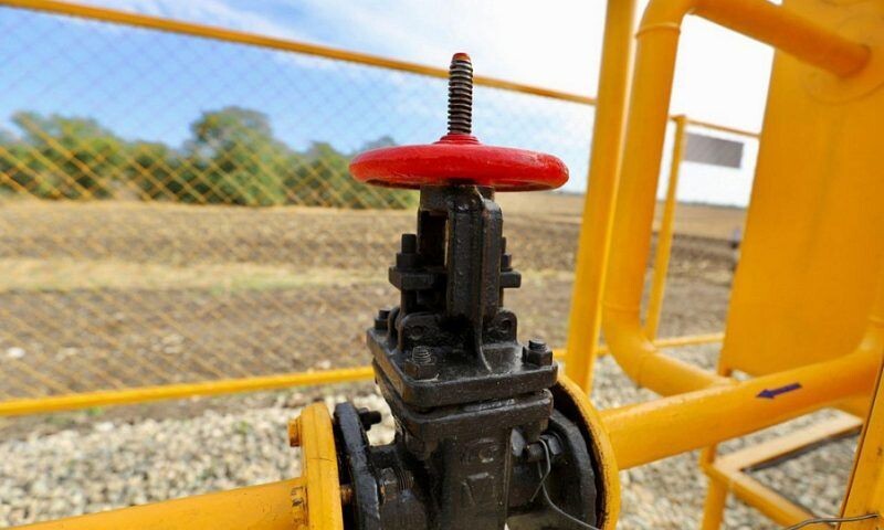    Фото пресс-службы администрации Краснодарского края