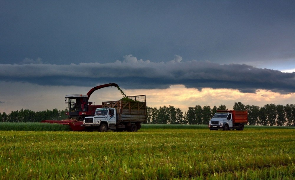 Фото: Яндекс фото