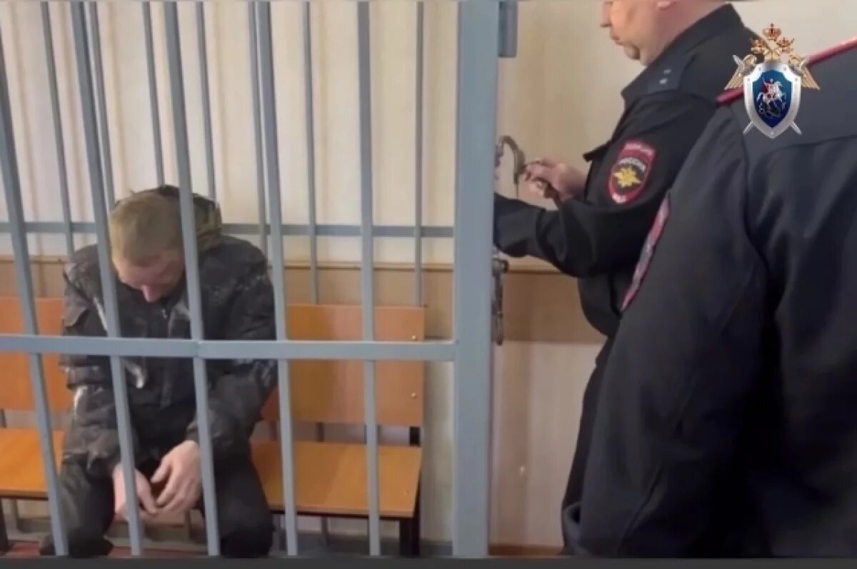    Обвиняемого в убийстве 17-летней школьницы в Ушканке заключили под стражу