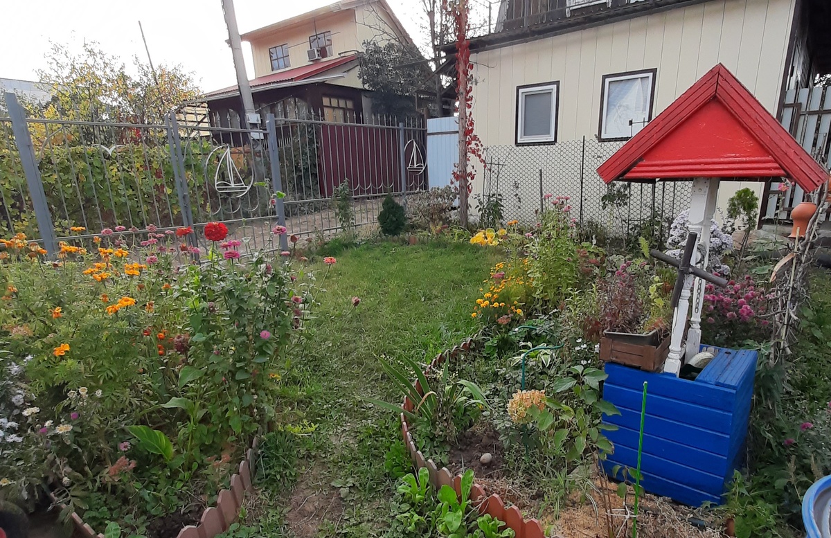 Вид конечно не подробный,но общую картину показывает