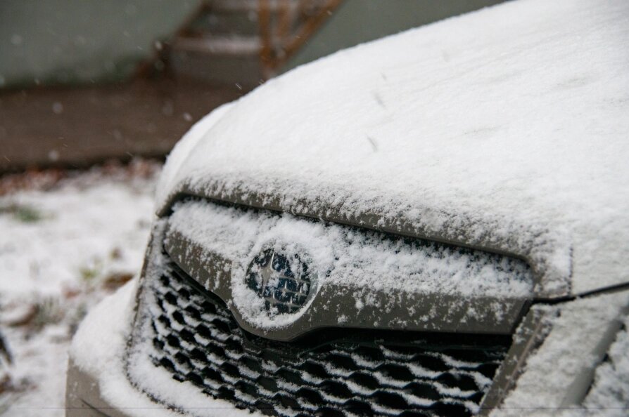    Фото: Svetlana Vozmilova/Global Look Press