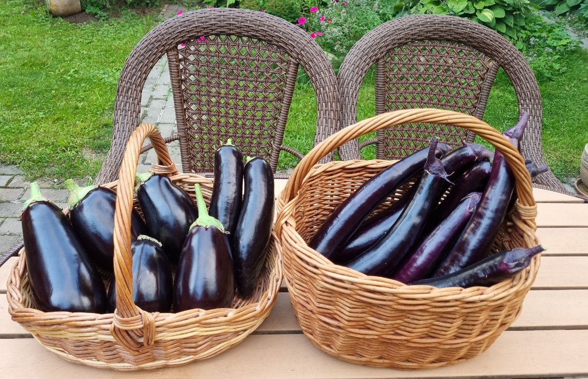 Фото автора.