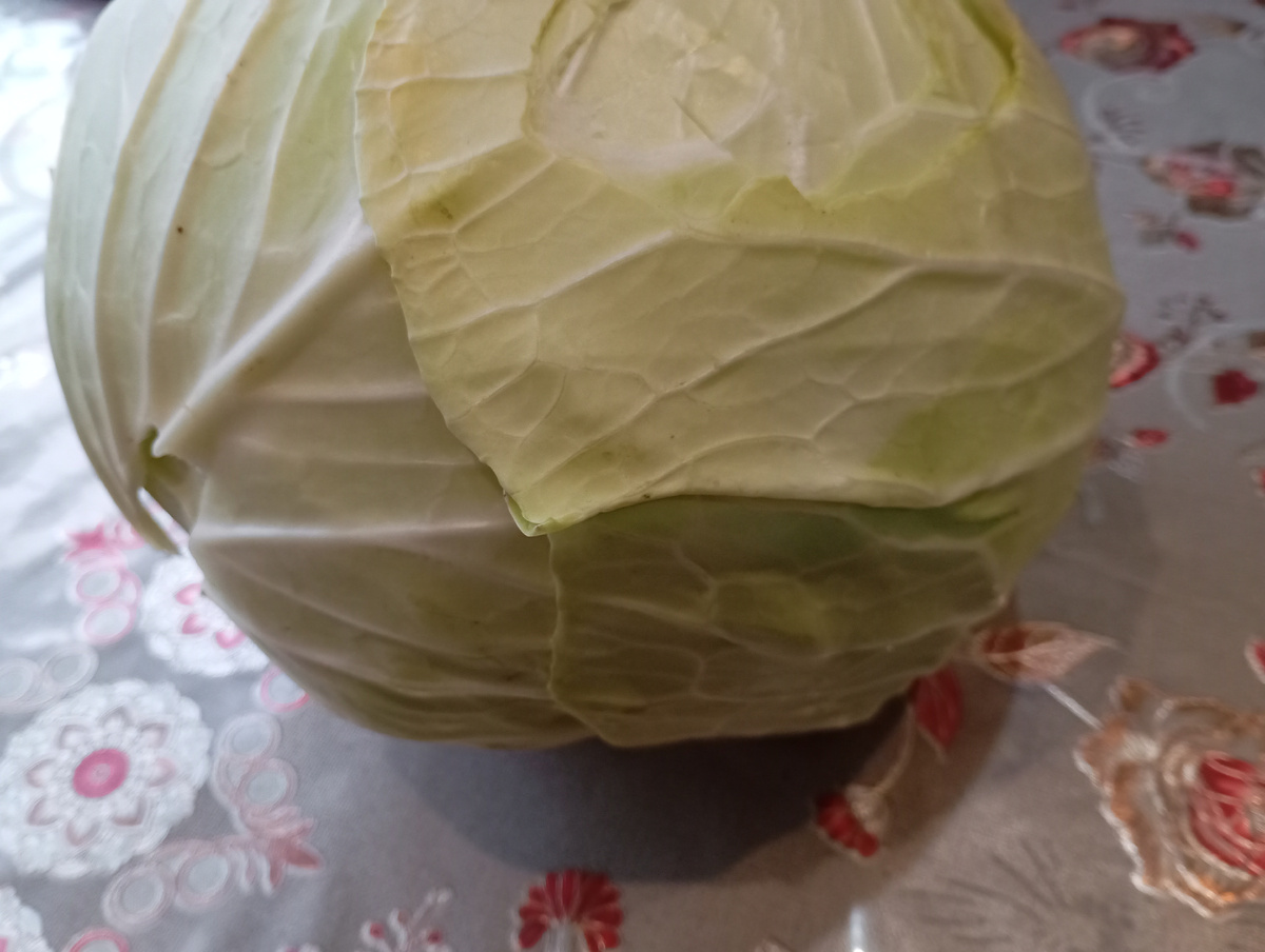 Капуста, фото автора.