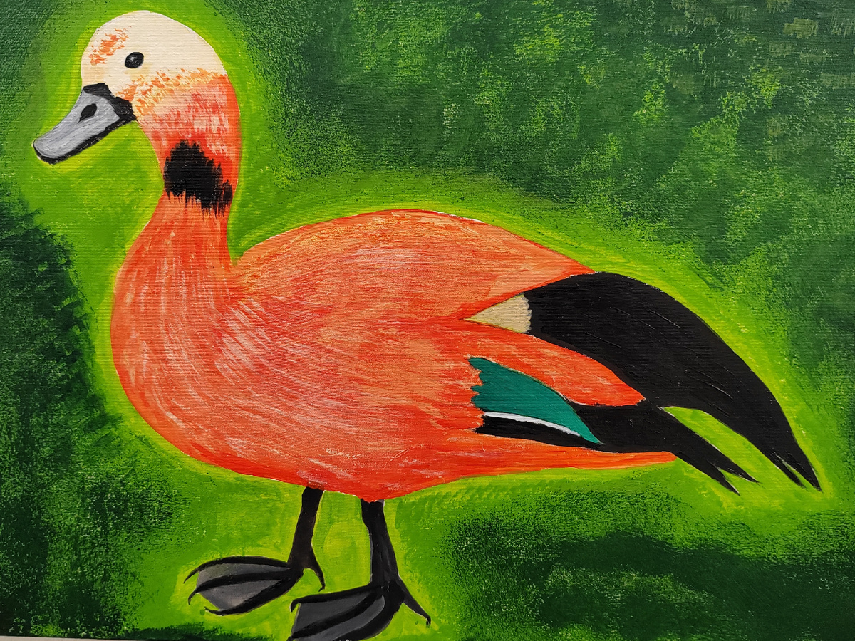 Утка Огарь. Астраханский биосферный заповедник. Акрил. Автор Шаманова Т. С.