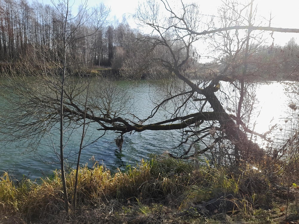    Погода в Беларуси Сергей Белевич