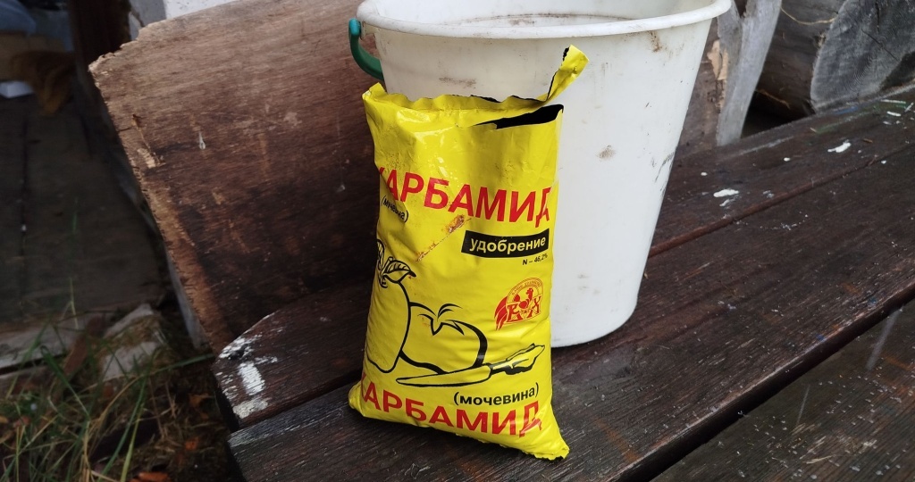 Искореняющая обработка сада мочевиной